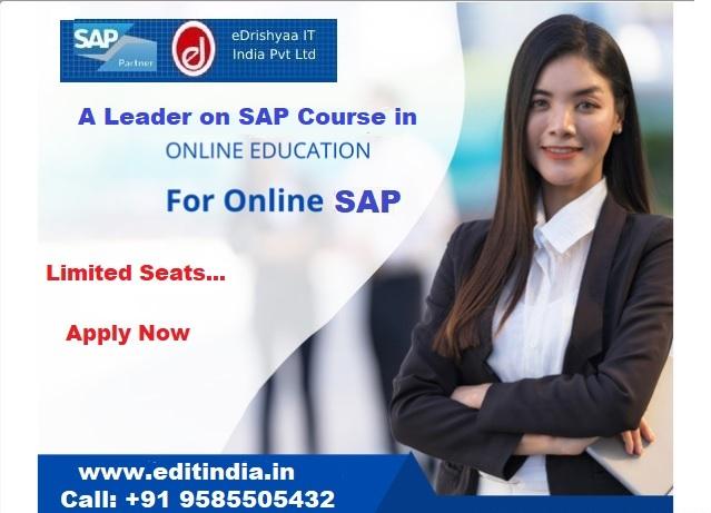 eDrishyaa IT India Pvt. Ltd. (SAP Authorized Academy )